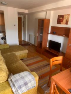 Apartamento en Pirineos - Sabiñánigo - 0