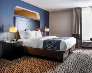 Comfort Suites Benton Harbor - St Joseph - 4