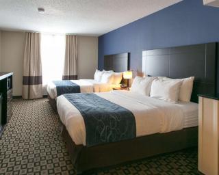 Comfort Suites Benton Harbor - St Joseph - Benton Harbor - 3