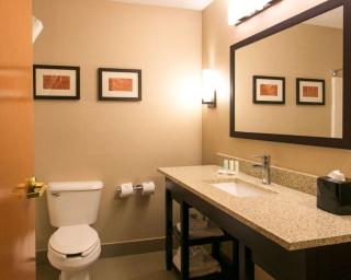 Comfort Suites Benton Harbor - St Joseph - 1