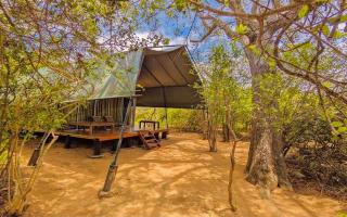 Lowin Yala - Yala - 0