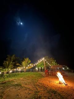 Bliss Bay Beach Resort & Spa - 4