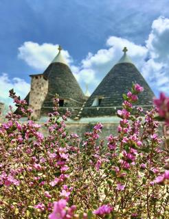 TRULLI ALLEGRETTI - Noci - 5