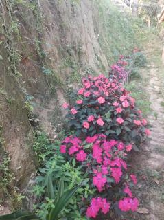 Chácara Sonho Real - Campos de Cunha - 1