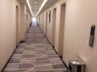 PAI Hotels Shijiazhuang Railway Station West Square - Shijiazhuang - 3