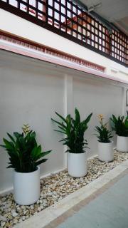 Coastal Villa on Fairway - - 1