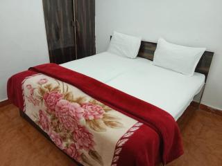 Hotel Star Blueberry's 1 - Nuova Delhi - 6