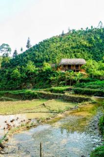Bản Liền Pine Homestay - Ly Tzeu Ping - 9