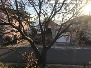 Beachfront Villa Ksenija - 4 bedrooms & parking - Bibinje - 5