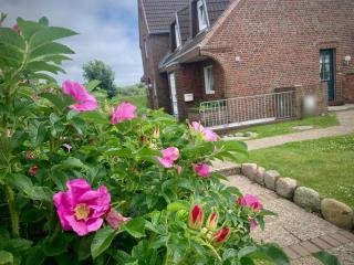 Sylter Rose 3A - 7
