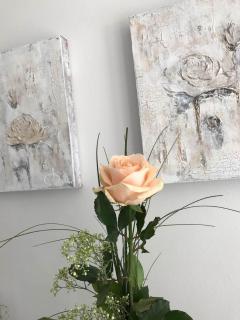 Sylter Rose - 6
