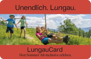 Spacious Apartment in HausBellevue with Balcony and Panoramic Mountain Aspect - Sankt Michael im Lungau - 9