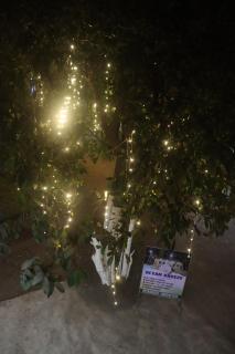 Ocean Breeze Holiday Home - Alibaug - 3