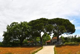 The Ranch of Ancient Ilida - Amaliás - 0