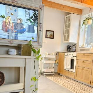 Bed and breakfast near 's-Hertogenbosch - Rosmalen - 9