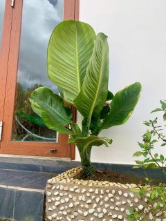 Pin's House - Bảo Lộc - 3
