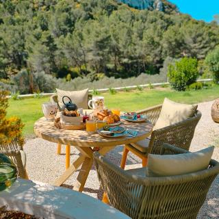 L'hôtel des oiseaux - Les Baux-de-Provence - 8