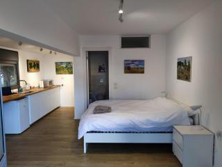 Lavan Country-Style Studio - Yoqne‘am - 5