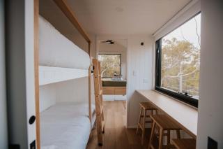 Tiny Wallaby - Dural - 1