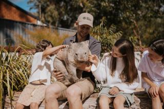 Tiny Wombat - Dural - 9