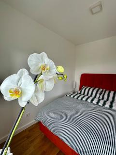 Cozy Central Flat In Sarajevo & Olympic Hall View - Sarajevo - 7