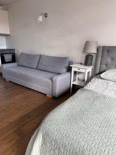 Five Star Downtown Apartment - Vilnius - 2