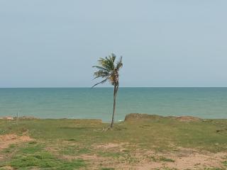 Paradise - - 5