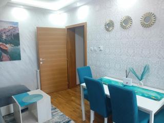 EMA LUX APARTMENTS - zgrada Panorama Sokobanja & Free Parking - kod parka Banjica - Soko Banja - 4
