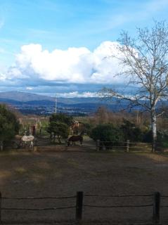 Villa Isabel - Arezzo - 1