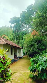 Verdant Vagamon Farm House - Vagamon - 9