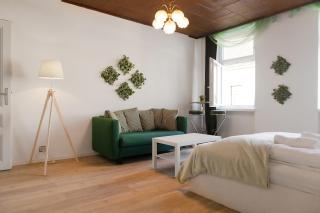Spacious 2BR Apt Perfect for Longstays - Vienne - 9