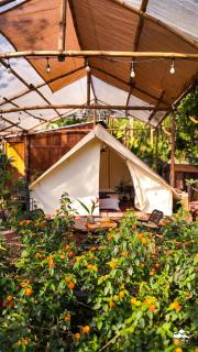Xieng Retreat - Hanoi - 8