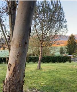 chalet des pyrenees - Tuzaguet - 1