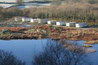 Dinas - 6