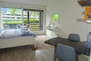 Aare Studio 1 - Interlaken - 6
