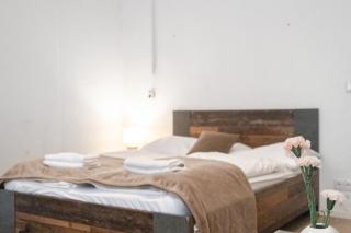 Spacious 1BR Apt, WIFI & TV, with a Great Location - Vienne - 3