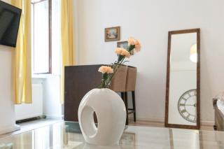 Spacious 1BR Apt, WIFI & TV, with a Great Location - Vienne - 4