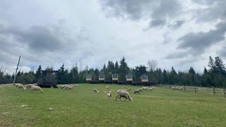 Карпати Плай Village - Bukovel - 1