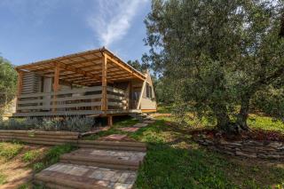 Agriturismo Glamping L'Olivo Country Holidays - 6