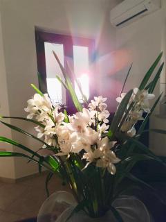 B&B Easy Wind - Cala Gonone - 4