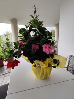 B&B Easy Wind - Cala Gonone - 3
