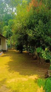 Verdant Vagamon Farm House - Vagamon - 7