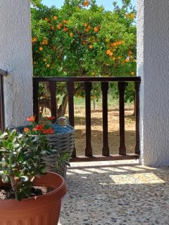 Joanna's House - - 8