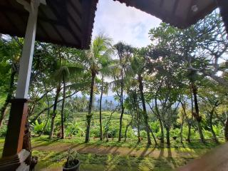 Mayong Harmony Villa - Mantaak - 8