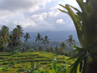 Mayong Harmony Villa - Mantaak - 6