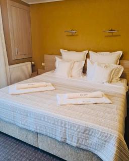 Casa Mont Blanc - Ogradena Nouă - 3