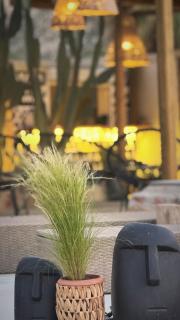 LA Casa Di Lusso Grande Casa -Adults Only - Kolymbia - 8