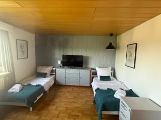 Emi's Guesthouse A2 - Waldshut-Tiengen - 7