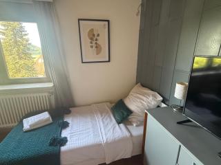 Emi's Guesthouse A2 - Waldshut-Tiengen - 8