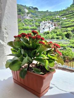 Al Panorama - Minori - 5
